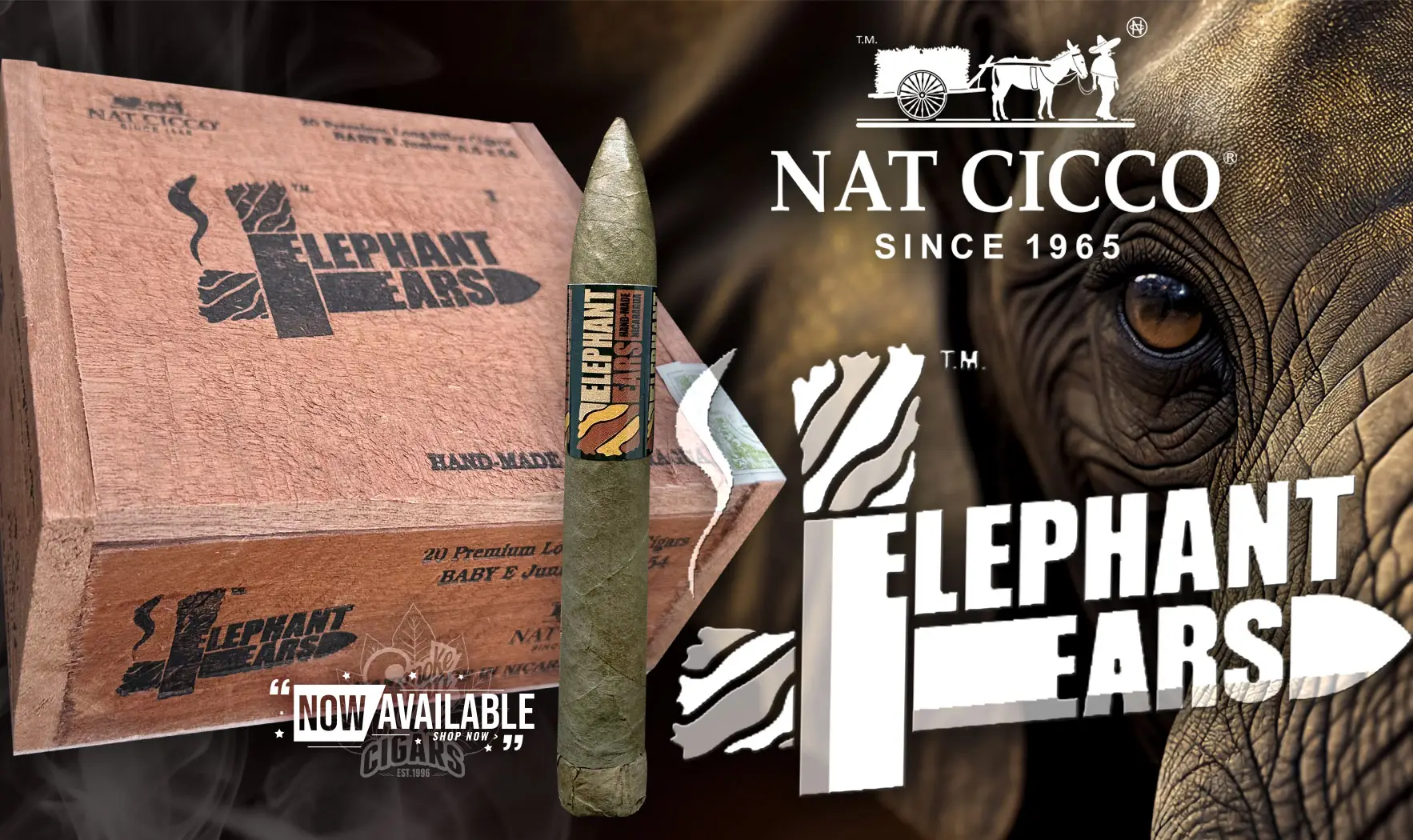 Nat Cicco Elephant Ears