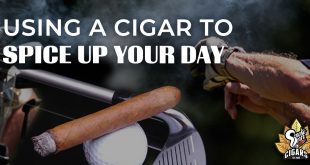 Using a Cigar to Spice Up Your Day