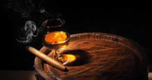 Cigars with cognac