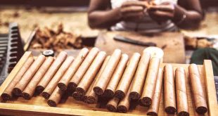 Dominican cigar production