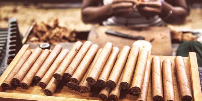 Dominican cigar production