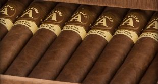 A box of puro cigars