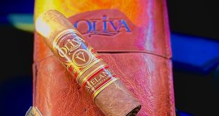 Oliva-Serie-V-Melanio