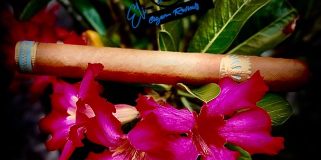 sobremesa-brulee-blue-cigar
