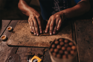 Ciger Terms Glossary: Cigar Anatomy