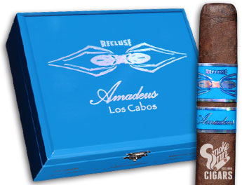 Recluse Amadeus Los Cabos