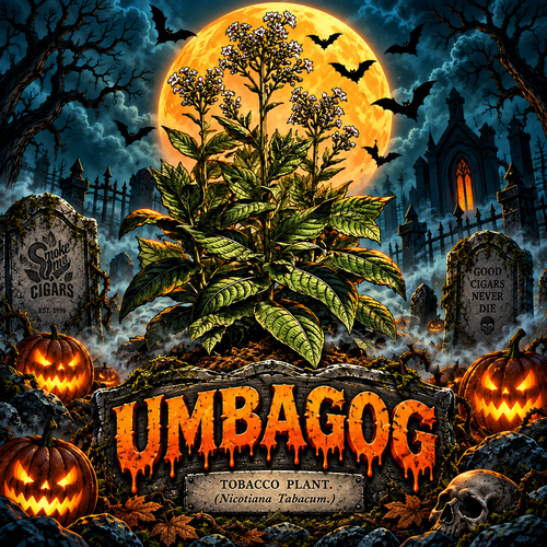 Umbagog Cigars