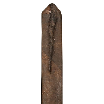 601 La Bomba Warhead V Maduro 601 La Bomba Warhead V Maduro