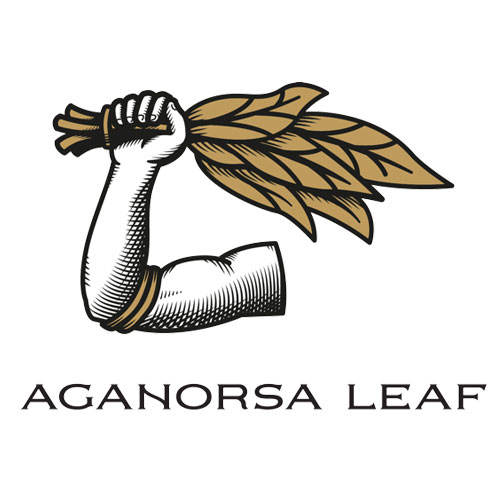 Aganorsa Leaf La Validacion Habano Gran Robusto - 5 Pack