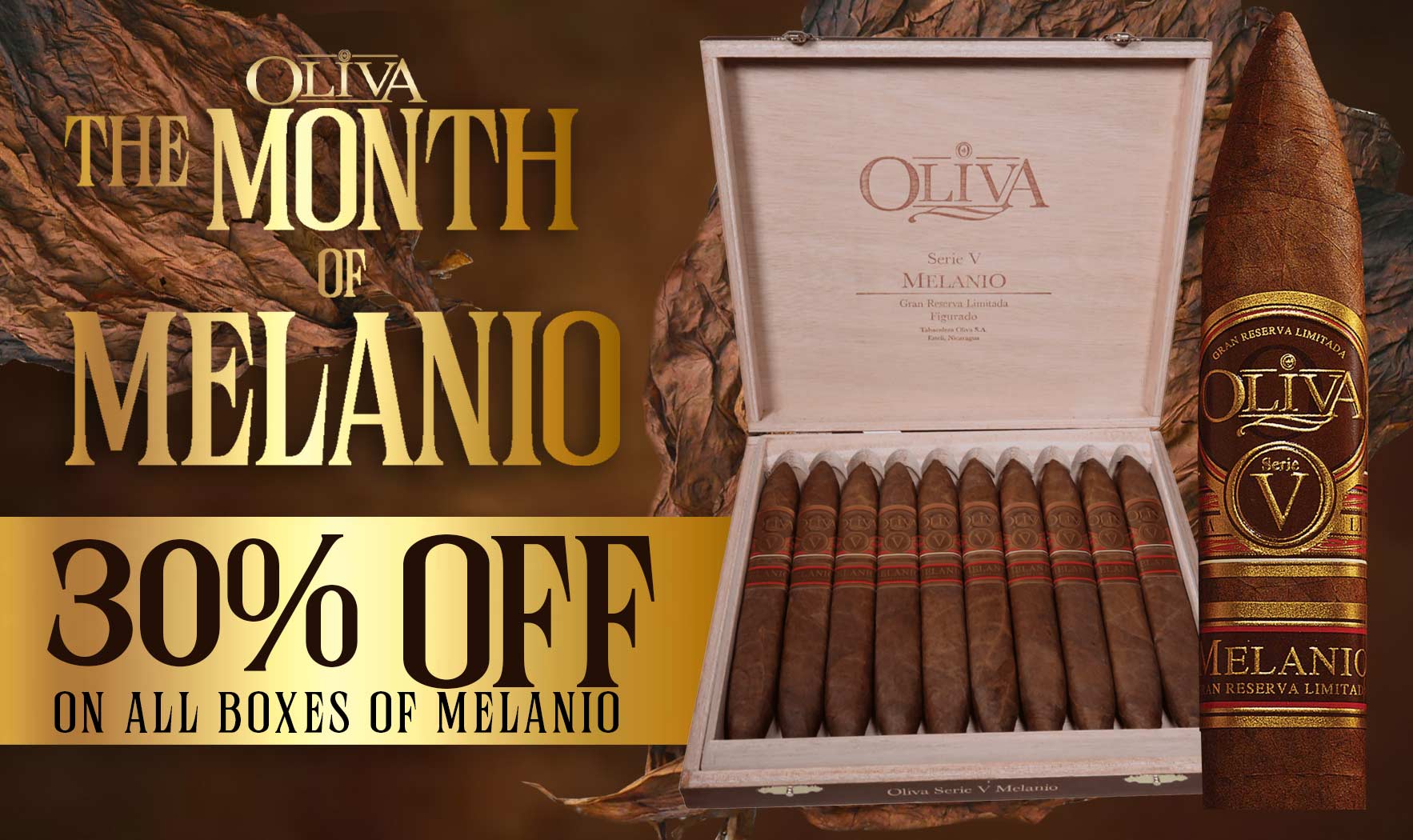 Oliva Melanio